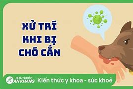 Bệnh Dại Ở Người Có Chữa Được Không