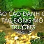 Đánh Giá Tác Động Môi Trường Của Các Dự Án