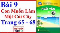 Ngữ Văn Lớp 6 Trang 68 69 Chân Trời Sáng Tạo