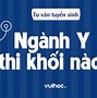 Y Hà Nội Xét Khối C